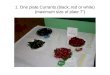 1. One plate Currants (black, red or white) (maximum size of plate 7”)