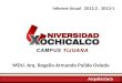 MDU. Arq. Rogelio Armando Pulido Oviedo Informe Anual 2012-2. 2013-1 Arquitectura