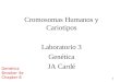 1 Cromosomas Humanos y Cariotipos Laboratorio 3 Genética JA Cardé Genetics Brooker 4e Chapter 8