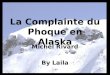 La Complainte du Phoque en Alaska Michel Rivard By Laila