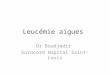 Leucémie aigues Dr Boudjedir Eurocord Hopital Saint-Louis