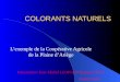 COLORANTS NATURELS Lexemple de la Coopérative Agricole de la Plaine dAriège Présentation: Jean-Michel LEOPOLD Ingénieur ITPA Diplômé IFG