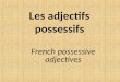 Les adjectifs possessifs French possessive adjectives