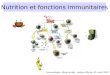 Nutrition et fonctions immunitaires Immunologie, 4ème année - option officine, 21 mars 2007