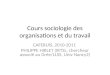 Cours sociologie des organisations et du travail CAFERUIS, 2010-2011 PHILIPPE HIRLET (IRTSL, chercheur associé au Grée/LLSS, Univ Nancy2)