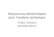 Ressources électroniques pour lanalyse syntaxique Amalia Todirascu todiras@unistra.fr
