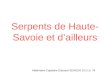 Serpents de Haute- Savoie et dailleurs Vétérinaire-Capitaine Edouard SENGER S.D.I.S. 74