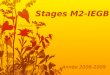 Stages M2-IEGB Année 2008-2009. Classification Par thèmes: –Environnement et développement durable Aménagement du territoire, développement durable et