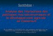 Synthèse : Analyse des interactions des politiques macroéconomiques et le développement agricole au Cameroun Étude initiée par lOCDE/Division des politiques