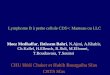 Lymphome B à petite cellule CD5+: Manteau ou LLC Moez Medhaffar, Ibtissem Bahri, N.Ajmi, A.Khabir, Ch.Kallel, H.Elleuch, R.Jlidi, M.Elloumi, T.Boudawara,