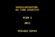 VASCULARISATION DU TUBE DIGESTIF PCEM 2 2011 Olivier Ernst