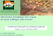 AGENCE NATIONALE DAPPUI AU DEVELOPPEMENT RURAL Valorisation énergétique des coques de cacao à Méagui, Côte dIvoire M. GUEDE BEHINAN Directeur Général de