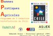 B onnes P ratiques A gricoles Programme de l'industrie hortofruticole du Chili Edmundo Araya – Directeur général (FDF) Séminaire FAO : 21-26 juillet 2003