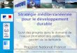Saragosse – 19/21 mars 2007 – Présentation des rapports nationaux Saragosse – 19/21 mars 2007 Stratégie méditerranéenne pour le développement durable Suivi