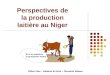 Perspectives de la production laitière au Niger Gilles Vias – Saratou M Goni – Ousseini Salaou Et si on améliore la production locale ?