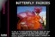 BUTTERFLY FAIRIES Le Roi et la Reine Butterfly sont là, ainsi que deux suivantes, accompagnés de leur fidèle pédaleur qui tente de les suivre en poussant