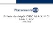 Billets de dépôt CIBC M.A.X. MC CI Série 7, RDC (CBL 313)