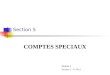 Section 5 COMPTES SPECIAUX Module 2 Section 5 – Tr. No.1