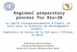 Regional preparatory process for Rio+20 Le Comité Intergouvernemental dExpert, un outil pour la promotion du développement durable: Expérience du bureau
