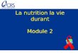 La nutrition la vie durant Module 2. Comprendre les besoins nutritionnels aux divers stades de la vie Objectifs En savoir plus sur les besoins nutritionnels