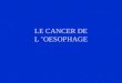 LE CANCER DE L OESOPHAGE. I- INTRODUCTION 15% des cancers digestifs Très mauvais pronostic: 5% survie à 5 ans Diagnostic: fibroscopie digestive + biopsies