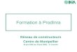 Formation à ProdInra Réseau de constructeurs Centre de Montpellier 26 juin 2006 (ou 29 juin 2006) – D. Fournier