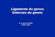 Ligaments du genou Entorses du genou Dr Antoine GERIN CAMU 2005