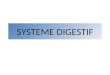 SYSTEME DIGESTIF. Organes du système digestif Organes du tube digestif Organes annexes
