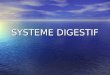 SYSTEME DIGESTIF. Organes du système digestif Organes du tube digestif Organes du tube digestif Organes annexes Organes annexes