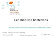 PL Toutain Ecole Vétérinaire Toulouse1 Les biofilms bactériens P.L. TOUTAIN ECOLE NATIONALE VETERINAIRE T O U L O U S E Update mars 2012 Costerton, 1999,