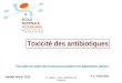 PL Toutain ; Ecole Vétérinaire de Toulouse Toxicité des antibiotiques P.L. TOUTAIN ECOLE NATIONALE VETERINAIRE T O U L O U S E Update février 2012 Pour