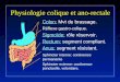 Physiologie colique et ano-rectale Colon: Mvt de brassage. Réflexe gastro-colique. Sigmoïde: rôle réservoir. Rectum: segment compliant. Anus: segment résistant