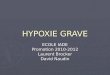 HYPOXIE GRAVE ECOLE IADE Promotion 2010-2012 Laurent Brocker David Naudin