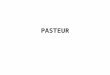 PASTEUR. Objectifs de compréhension Pasteur, un homme de la fin du XIXème siècle les découvertes et avancées scientifiques La notion de « grand homme