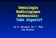 Sémiologie Radiologique Abdominale: Tube digestif Dr B. Bessoud, Dr C. Phan CHU Bicêtre