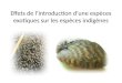 Effets de lintroduction dune espèces exotiques sur les espèces indigènes