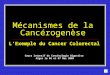 Mécanismes de la Cancérogenèse Mécanismes de la Cancérogenèse LExemple du Cancer Colorectal Cours Intensif de Cancérologie Digestive Alger le 06 et 07