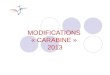 MODIFICATIONS « CARABINE » 2013. 2 CARABINE (1) 7.4.1.1 Une carabine par discipline. Une seule carabine est autorisée pour les matchs éliminatoires, de