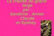 La crainte du grand large par : Sandrine, Annie-Claude et Sydney