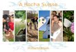 A Rocha Suisse Présentation. En bref... Fondée en Septembre 2007 18ème entité nationale dA Rocha Partage les valeurs et déclaration de mission dA Rocha