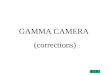 GAMMA CAMERA (corrections). image sans corrections