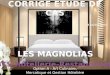 Situé à Grenoble, lhôtel "LES MAGNOLIAS" est un établissement 3 étoiles, qui offre un cadre chaleureux et moderne, un confort de qualité ainsi quun important