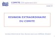 COMITE / 29 septembre 2011 AGNETZ 1 REUNION EXTRAORDINAIRE DU COMITE Syndicat dElectricité de lOise / Monsieur Jean-Louis COPPEAUX, Président