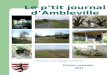 Premier semestre 2011 Le ptit journal dAmbleville Extrait de la Charte Paysagère dAmbleville
