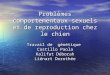 Problèmes comportementaux sexuels et de reproduction chez le chien Travail de génétique Castillo Paola Kalifat Déborah Liénart Dorothée