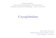 Cryoglobuline Dominique Chauveau Néphrologie & Immunologie clinique CHU Rangueil – Toulouse Glomérulopathies : Aspects physiopathologiques & thérapeutiques