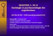 MASTER 1 : SC 8 Sociologie et psychosociologie des organisations 34 CM, 20 TD + 18 H travail personnel (CC) Responsable : N. Haschar-Noé Contrôle terminal