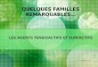 QUELQUES FAMILLES REMARQUABLES… LES AGENTS TENSIOACTIFS ET SURFACTIFS GUIHARD Justine – HANOT Camille 20 novembre 2007