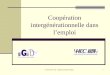 Cornet Annie- Hec - Ulg (Université de Liège)1 Coopération intergénérationnelle dans lemploi