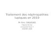 Traitement des néphropathies lupiques en 2010 Pr Eric DAUGAS Hôpital Bichat Université Paris 7 INSERM U699